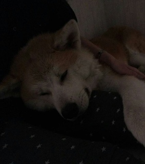 bts pics, aesthetic and bts moodboard