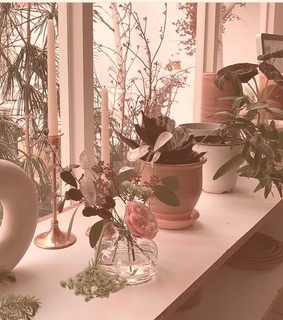 brown moodboard, soft and green moodboard