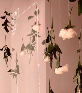 bts icons, bts and tae tae