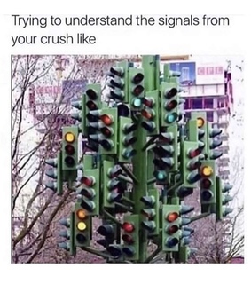 crush, signals and memes
