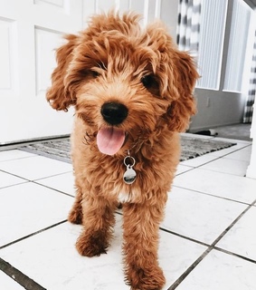 incredibly, tumblr and beauty