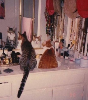 indie, grunge and alternativ