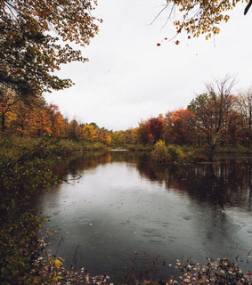 wilderness, mood and landscape
