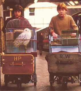 harry potter, fred and george weasley and ron weasley