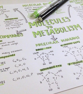 mind map, apuntes bonitos and studyspo