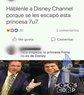 mood, solo and universidad