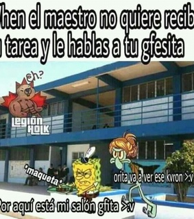 memillos, memes and friendzone