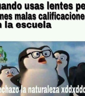 soledad, universidad and momos