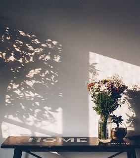 ph, photography and shadow