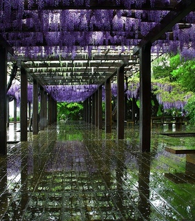 rain, kyoto and japan