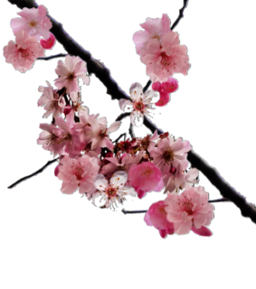 editing help, editing needs and editing inspiration