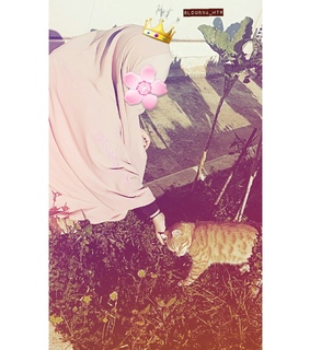 ss sss, animal and jilbab with cat