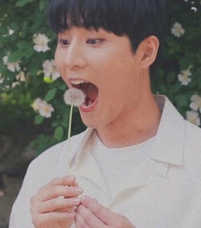 day6, youngk and wonpil