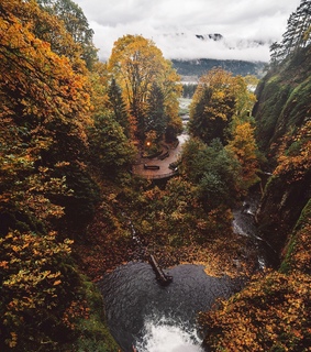 mountain, tree and color
