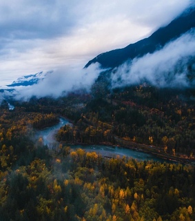 travel, foliage and fall