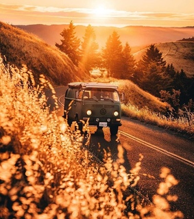 sun, trip and travel