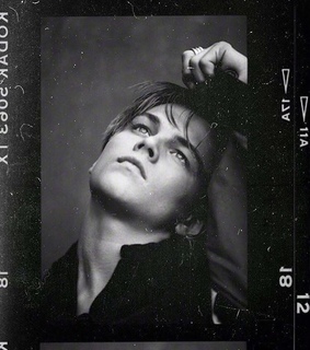 young leo, young leonardo dicaprio and titanic