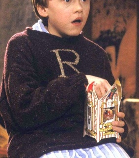 harry, fantastic beast and hermione