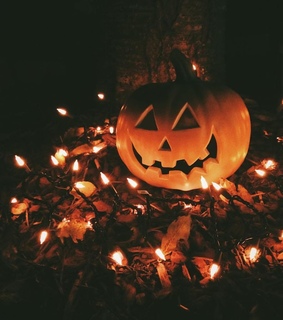 orange, autumn and pumpkin