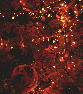 halloween lights, lights and season
