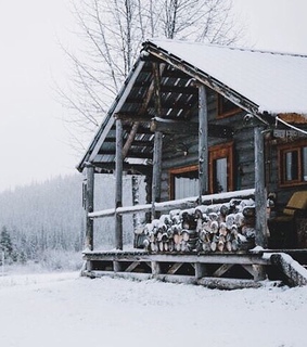 white, candles and forest