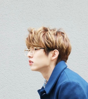 sungjin, wonpil and icon