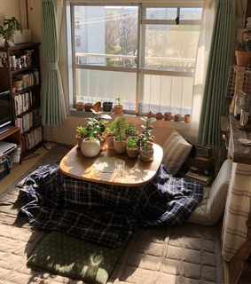 japan, aesthetic and plants