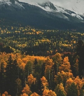 landscape, fall and autumn season