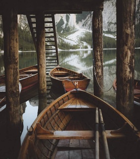 cozy, nature and serene