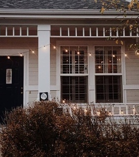 buisson, light and winter