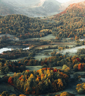 window, adventure and woods