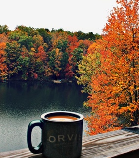 hot coffee, cold morning during fall and relax