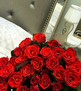 layout pack, roses and pack