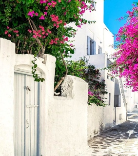 flowers, traveling and streets