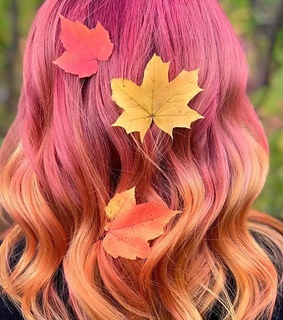 sexy, insta and colorful