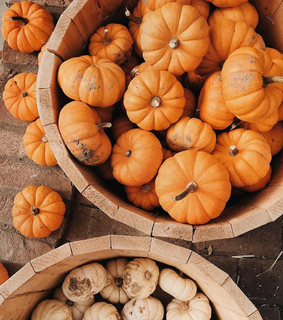 white pumpkins, upload and autumn air
