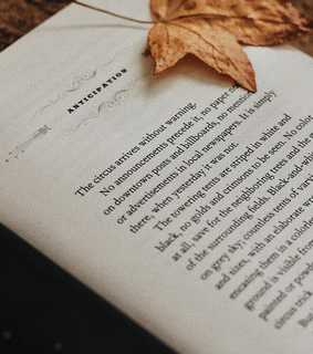 autumn leaf, booklife and autumn books