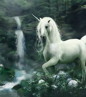 white, flowers and illustration