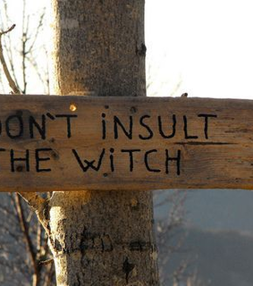 spooky, halloween vibes and fall