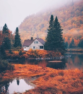 cold, cabin and season