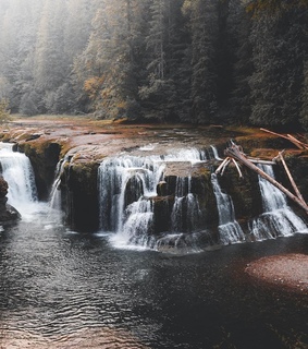 cozy, woods and mountain