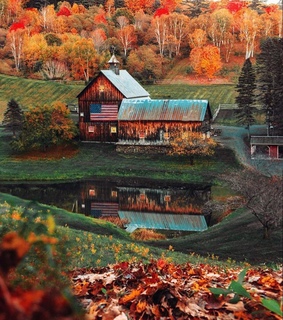 mountain, cabin and forest