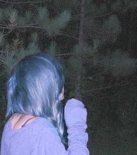 walk, forest and cold