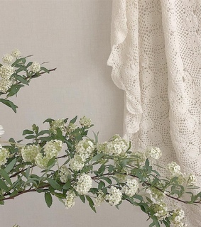 white moodboard, seokjin aesthetic and green