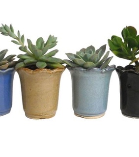 pngs, png and niche meme png