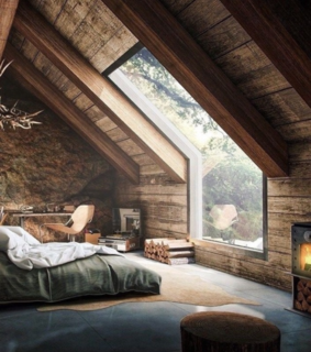 fall, autumn colors and autumn