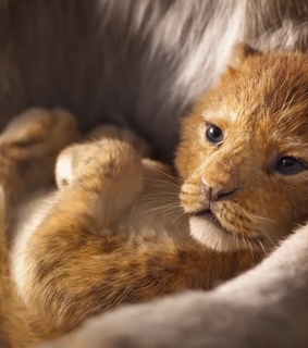 circle of the life, disney and 2019