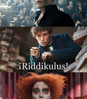 alice in wonderland, lol and fantastic beasts