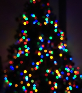 winter snow, christmas tree and tumblr