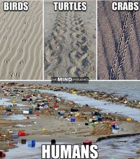 earth, waste and quotes